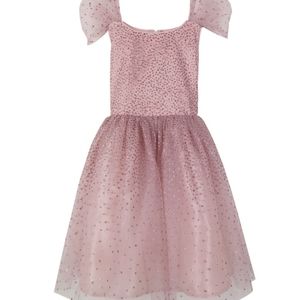 Novelty Glitter Border Dress